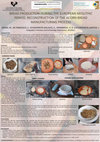 Research paper thumbnail of Ayerdi, M. et al. (2014): Bread production during the European Neolithic period. Reconstruction of the acorn bread manufacturing process (IV Congreso Internacional de Arqueología Experimental, Burgos)