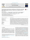 Research paper thumbnail of Morphological and molecular identification of filamentous Aspergillus flavus and Aspergillus parasiticus isolated from compound feeds in South Africa