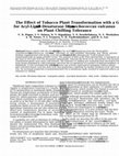 Research paper thumbnail of The Effect of Tobacco Plant Transformation with a Gene for Acyl-Lipid Δ9-Desaturase from Synechococcus vulcanus on Plant Chilling Tolerance