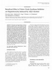 Research paper thumbnail of Beneficial effect of nitric oxide synthase inhibitor on hepatotoxicity induced by allyl alcohol