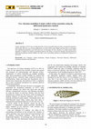 Research paper thumbnail of Free vibration modeling of single walled carbon nanotubes using the differential quadrature method