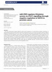 Research paper thumbnail of miR-2909 regulates ISGylation system via STAT1 signalling through negative regulation of SOCS3 in prostate cancer