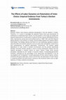 Research paper thumbnail of The Effects of Labor Dynamics on Polarization of Voter Choice: Emprical Evidence From Turkey's Election Enviroments