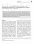 Research paper thumbnail of Genome-wide lentiviral shRNA screen identifies serine/arginine-rich splicing factor 2 as a determinant of oncolytic virus activity in breast cancer cells