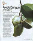 Research paper thumbnail of Pokok Dungun Antiradang