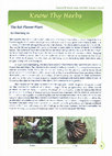 Research paper thumbnail of The Bat Flower Plant