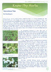 Research paper thumbnail of Sea-Lettuce tree