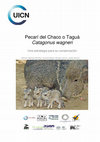 Research paper thumbnail of Pecarí del Chaco o Taguá Catagonus wagneri Una estrategia para su conservación