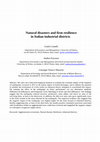 Research paper thumbnail of Natural disasters and firm resilience in Italian industrial districts