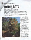 Research paper thumbnail of Nyireh Batu Rawat Diarea