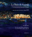 Research paper thumbnail of Nuove architetture e città storiche. Il caso (fallito) del grattacielo sulla Baia di Napoli - New architecture and historical cities. The (failed) case of the skyscraper on the Bay of Naples