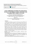 ANTI CORROSION STUDIES ON ETHANOLIC EXTRACT OF HIBISCUS ROSA SINENSIS AND AZADIRACHITA INDICA LEAVES Cover Page