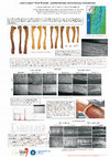 Research paper thumbnail of „Seal scrapers” from Sventoji – possible function and technology of production.