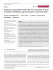 Research paper thumbnail of Prospective organisation of neonatal arm movements: A motor foundation of embodied agency, disrupted in premature birth