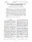 Research paper thumbnail of Structural Behaviour of a Ballasted Small Railway Track Under Static and Dynamic Loadings