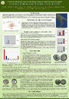 Research paper thumbnail of Coin finds in the southern necropolis of Heraclea Lucaniae