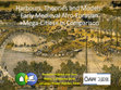 Harbours, Theories and Models: Early Medieval Afro-Eurasian »Mega-Cities« in Comparison Cover Page