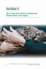 Research paper thumbnail of The Connections Between Animal and Human Abuse and Neglect Section: VioPet