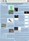 Research paper thumbnail of New Evidence for Local Continuity and Phoenician Influence in the Ceramic Assemblage from Iron Age Su Padrigheddu (West-Central Sardinia)