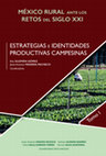 Research paper thumbnail of Capital cultural y estrategias reproductivas en grupos domésticos periurbanos