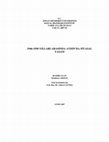 Research paper thumbnail of 1946-1950 Yılları Arasında Türkiye’de Çok partili Yaşama Geçiş Sürecinde Aydın İlinde Siyaset