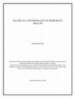 Research paper thumbnail of Racism Policy Brief, 2009.pdf