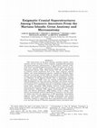 Enigmatic Cranial Superstructures Among Chamorro Ancestors From the Mariana Islands: Gross Anatomy and Microanatomy Cover Page