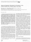 Research paper thumbnail of Seasonal Adaptation Modulates the Expression of the Protein Kinase CK2 β Subunit Gene in the Carp