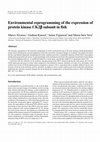 Research paper thumbnail of Environmental reprogramming of the expression of protein kinase CK2β subunit in fish