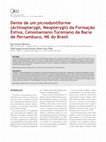 Research paper thumbnail of Dente de um picnodontiforme (Actinopterygii, Neopterygii) da Formação Estiva, Cenomaniano-Turoniano da Bacia de Pernambuco, NE do Brasil