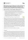 Hydrophobic Organic Pollutants in Soils and Dusts at Electronic Waste Recycling Sites: Occurrence and Possible Impacts of Polybrominated Diphenyl Ethers Cover Page