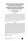 LANDSCAPE OF ARCHAEOLOGY IN PROCESSUAL AND  POST-PROCESSUAL PERSPECTIVES: CASE STUDY ON  MEGALITHIC COMPLEX IN JAMBI HIGHLAND Cover Page