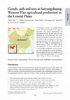 Cereals, soils and iron at Sanyangzhuang: Western Han agricultural production in the Central Plains Cover Page