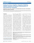 Research paper thumbnail of Putting the Pieces Together: Integrative Modeling Platform Software for Structure Determination of Macromolecular Assemblies