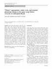 Research paper thumbnail of Winter” aggregations, colony cycle, and seasonal phenotypic change in the paper wasp Polistes versicolor in subtropical Brazil