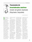 Research paper thumbnail of Taxonomía de invertebrados marinos: revisión del género Hydroides (Polychaeta: Serpulidae)