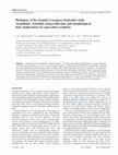 Research paper thumbnail of Phylogeny of the Serpula – Crucigera – Hydroides clade (Serpulidae�:�Annelida) using molecular and morphological data: implications for operculum evolution