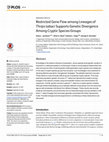 Research paper thumbnail of Restricted Gene Flow among Lineages of Thrips tabaci Supports Genetic Divergence Among Cryptic Species Groups