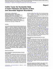 Research paper thumbnail of Cofilin Modulates the Nucleotide State of Actin Filaments and Severs at Boundaries of Bare and Decorated Segments