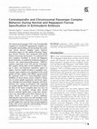 Research paper thumbnail of Centralspindlin and chromosomal passenger complex behavior during normal and Rappaport furrow specification in echinoderm embryos