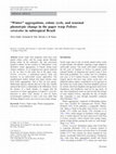 Research paper thumbnail of “Winter” aggregations, colony cycle, and seasonal phenotypic change in the paper wasp Polistes versicolor in subtropical Brazil