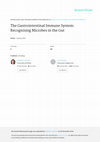 Research paper thumbnail of The Gastrointestinal Immune System: Recognising Microbes in the Gut