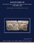 Farhi Y. 2016. The Coins. In O. Lipschits, Y. Gadot and L. Freud, Ramat Rahel III, Vol. 2 –Final Publication of Yohanan Aharoni’s Excavations (1954, 1959–1962). (Tel Aviv University Sonia and Marco Nadler Institute of Archaeology Monograph Series 35).Winona Lake, Ind. Pp. 588–623. Cover Page