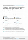 Research paper thumbnail of Cytogenetic characterization of Rhomboplites aurorubens and Ocyurus chrysurus, two monotypic genera of Lutjaninae from Cubagua Island, Venezuela, with a review of the cytogenetics of Lutjanidae (Teleostei: Perciformes)