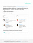 Research paper thumbnail of Karyotype and nucleolus Organizer Regions ofOphisternon aenigmaticum (Teleostei: Synbranchiformes: Synbranchidae) from Vene zuela