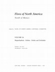 Research paper thumbnail of Phylogeny and Classification of the Monocotyledons - An Update - InFlora of North America North of Mexico