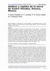 Research paper thumbnail of Anfibios y reptiles de la sierra Cuatro Venados