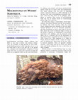 Research paper thumbnail of Terrestrial and Lignicolous Macrofungi