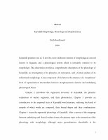 Research paper thumbnail of Kayardild morphology, phonology and morphosyntax