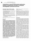 Research paper thumbnail of Camptothecin induced mitochondrial dysfunction leading to programmed cell death in unicellular hemoflagellate Leishmania donovani